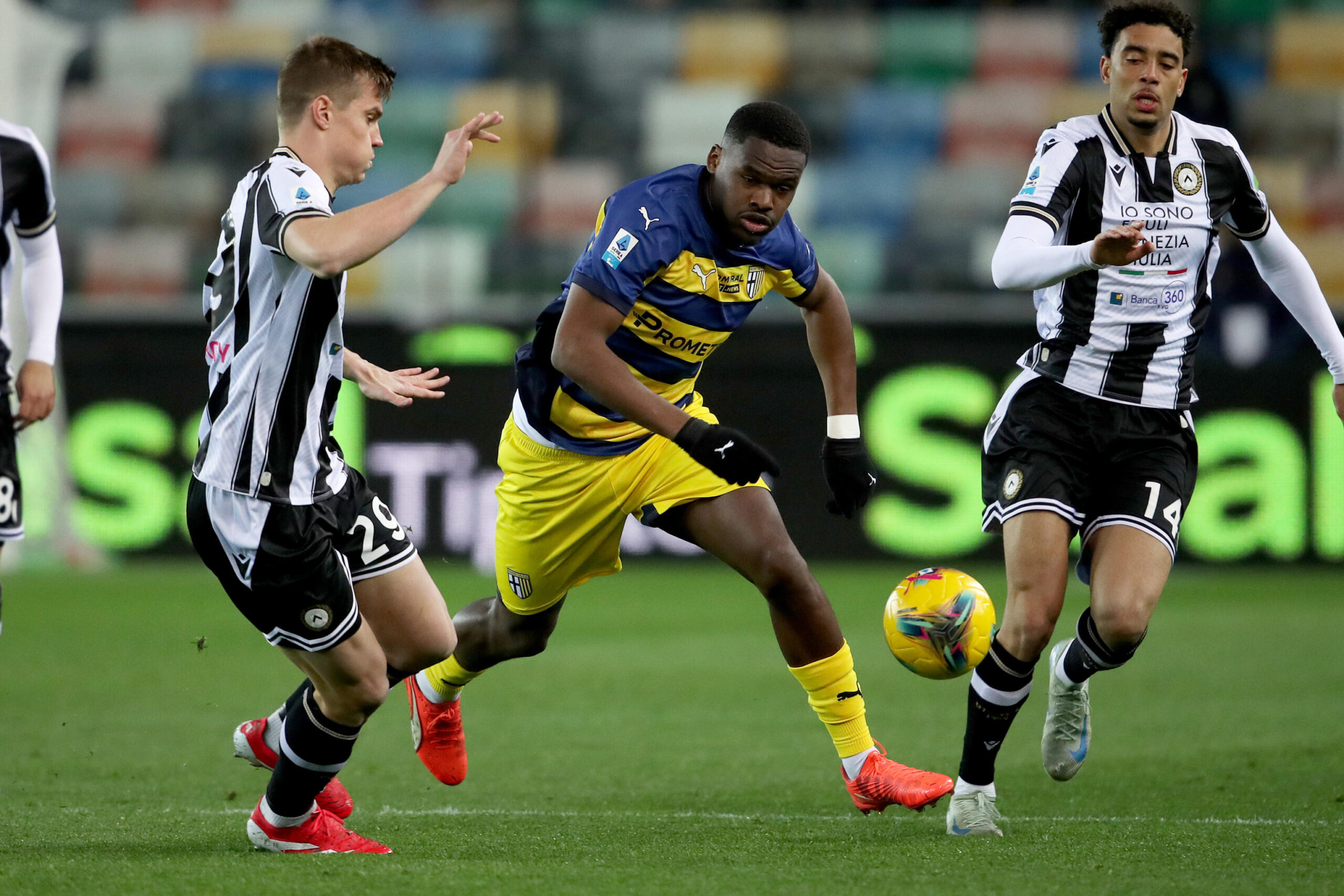Ange-Yoan Bonny